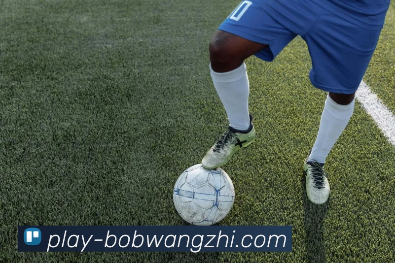体育直播服务